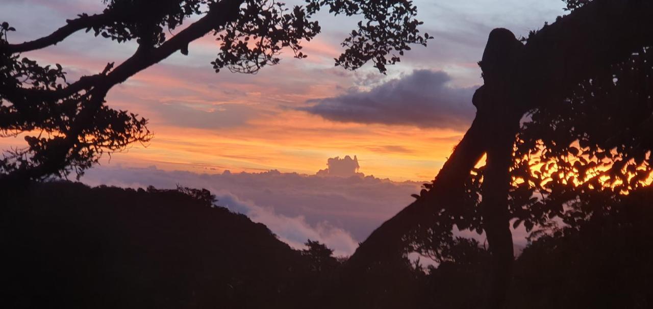 Outbox Inn Monteverde Екстериор снимка