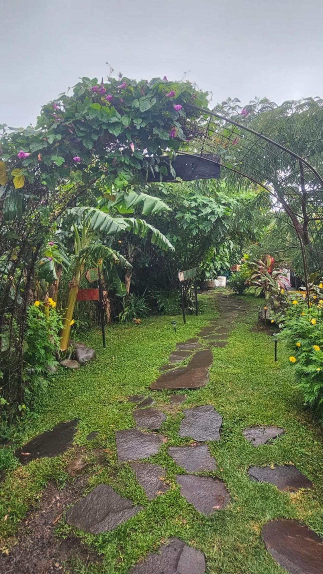 Outbox Inn Monteverde Екстериор снимка